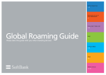 Global Roaming Guide