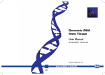 Genomic DNA from Tissue