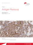 IHC Guidebook - Antigen Retrieval - Chapter 3