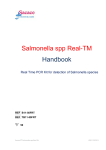Salmonella spp Real TM PCR ver 21032013 - bio