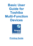 Printing guide