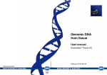 Genomic DNA from tissue - Lab Supplies Scientific