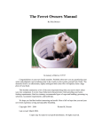 The Ferret Owners Manual