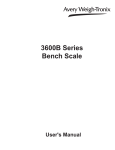 3600B Series Bench Scale - Avery Weigh