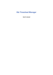 Biz Timesheet Manager