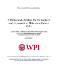 A Microfluidic System for the Capture and Expansion of Metastatic Can