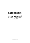 CuteReport User Manual