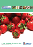 Crop Module: Strawberries