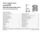 Model G05 Metallic Design Level 1