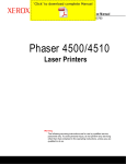 XEROX Phaser 4500 4510 Service Manual pages - service