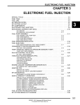 Electronic Fuel Injection - the Polaris International Extranet