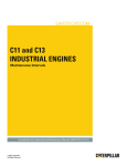 C11 and C13 Industrial Engines-Maintenance - Safety