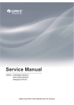 Service Manual (115v)
