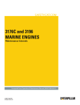 3176C and 3196 MARINE ENGINES - Safety