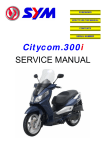 Citycom.300i SERVICE MANUAL