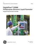 DigitalFlow DF868 2-CH Programming Manual 1 MB