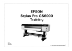 EPSON Stylus Pro GS6000