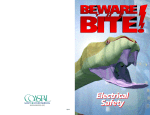Electrical Safety - DBG Services, LLP