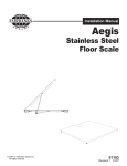 Stainless Steel Floor Scale
