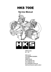 Manual-Service - Green Sky Adventures, Inc.