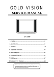 gold vision service manual