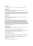 Primer O-Rings - radioaviation.com