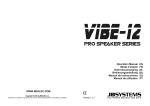 VIbe-12 - Beglec