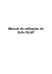 Manual de utilização do BJIn OLAP