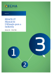 Manual de Utiliza&ccedil;&atilde;o para a Ind&uacute;stria do REACH-IT