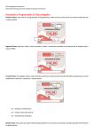 Acessando a Programação do Descarregador.