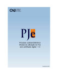 Manual de utilização do PJe SEM certificado digital