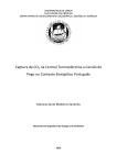 Captura de CO2 na Central Termoeléctrica a Carvão do Pego no