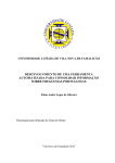 desenvolvimento de uma ferramenta automatizada para consolidar