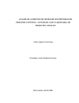 Análise de acidentes de trabalho em indústrias de processo contínuo