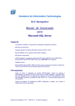 Solutions for Information Technologies BIS