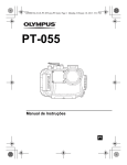 PT-055 - Olympus