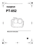 PT-052 - Olympus