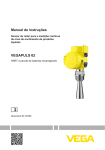 Manual de instruções VEGAPULS 62