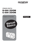 D-595 - Manual de Instruções