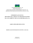 Dissertação em PDF - PGLA - Universidade de Brasília