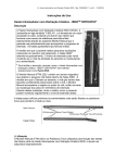 Haste Intramedular com Distração Cinética ISKD - reg 0017