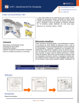 A.P.H - Atendimento Pr&eacute;-Hospitalar Colar Cervical Ambu 16x1