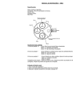 MANUAL DE INSTRUÇÕES – YM62