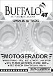 Manual Motogeradores 4t