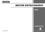 MOTOR ESTACIONÁRIO - Honda
