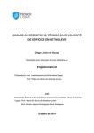 Thesis