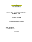 análise do comportamento do fogo na mata nacional de leiria