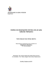 Análise do desempenho térmico de um piso radiante