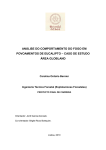 Análise do comportamento do fogo em distribuições de idades de