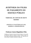 auditoria da folha de pagamento do serviço público - TCE-MT